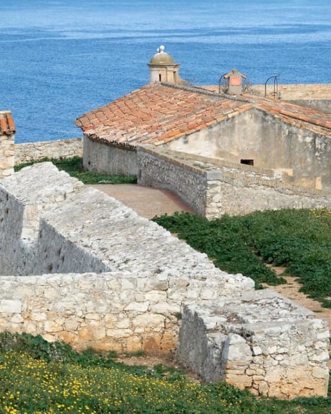 Les oubliés du Fort Royal