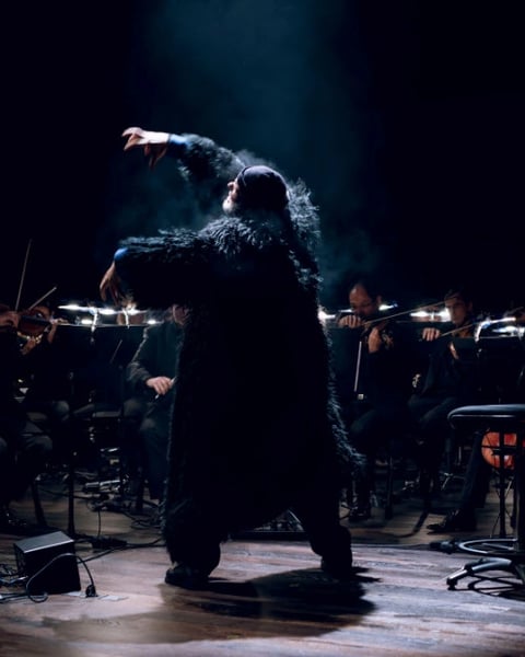 Ludwig Van…, Un autre point d’ouïe