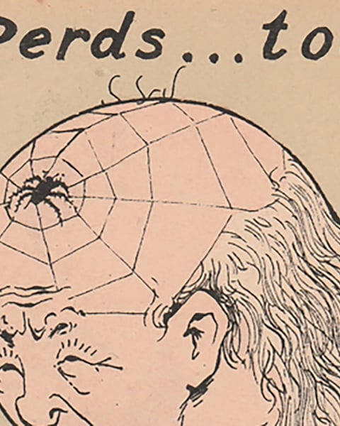 Une araignée au plafond