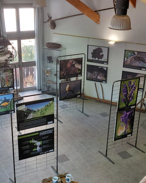 Exposition photo "ô lumières"