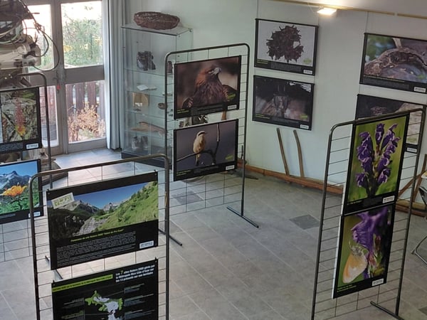 Exposition photo "ô lumières"