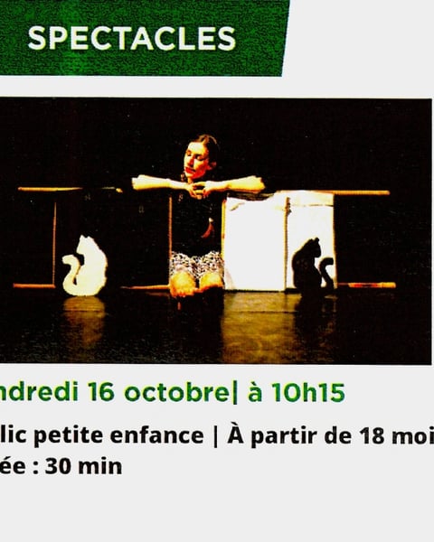 Spectacle : Je donne ma langue au chat
