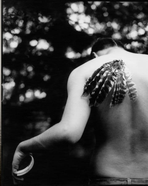 Øyvind Hjelmen, Being Here / Helén Petersen, Realities Imagined